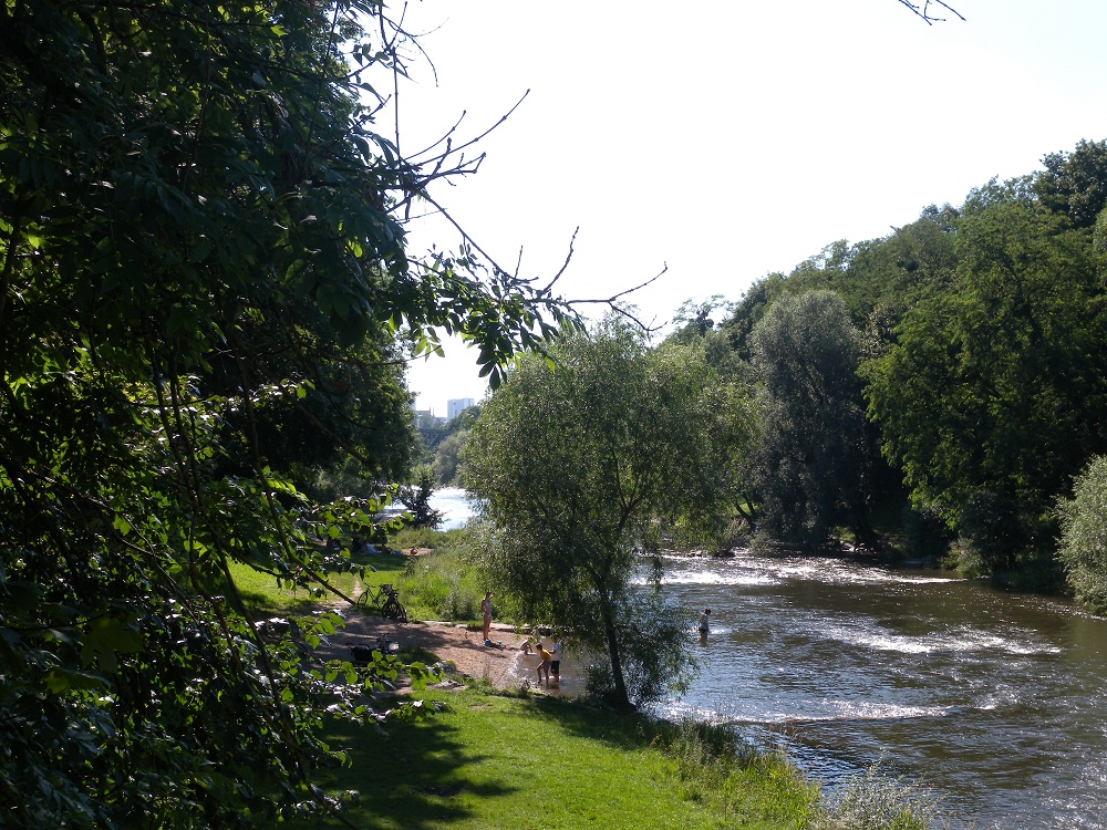 Swiss_Naturepark_Wiese_Basel