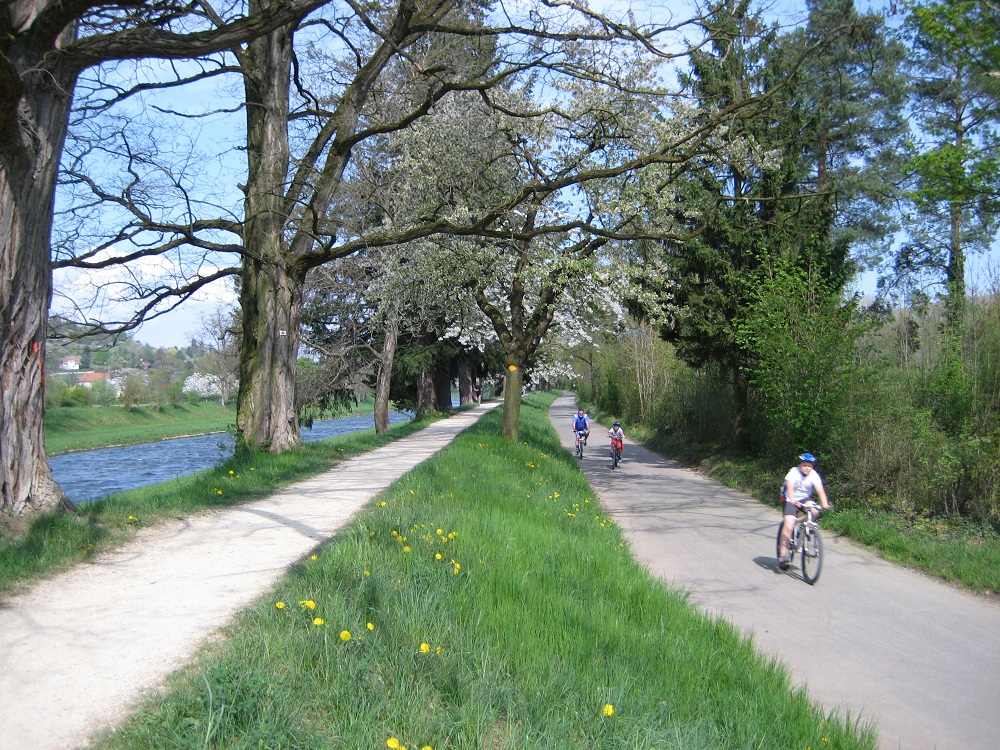 Swiss_Naturepark_Wiese_Basel2