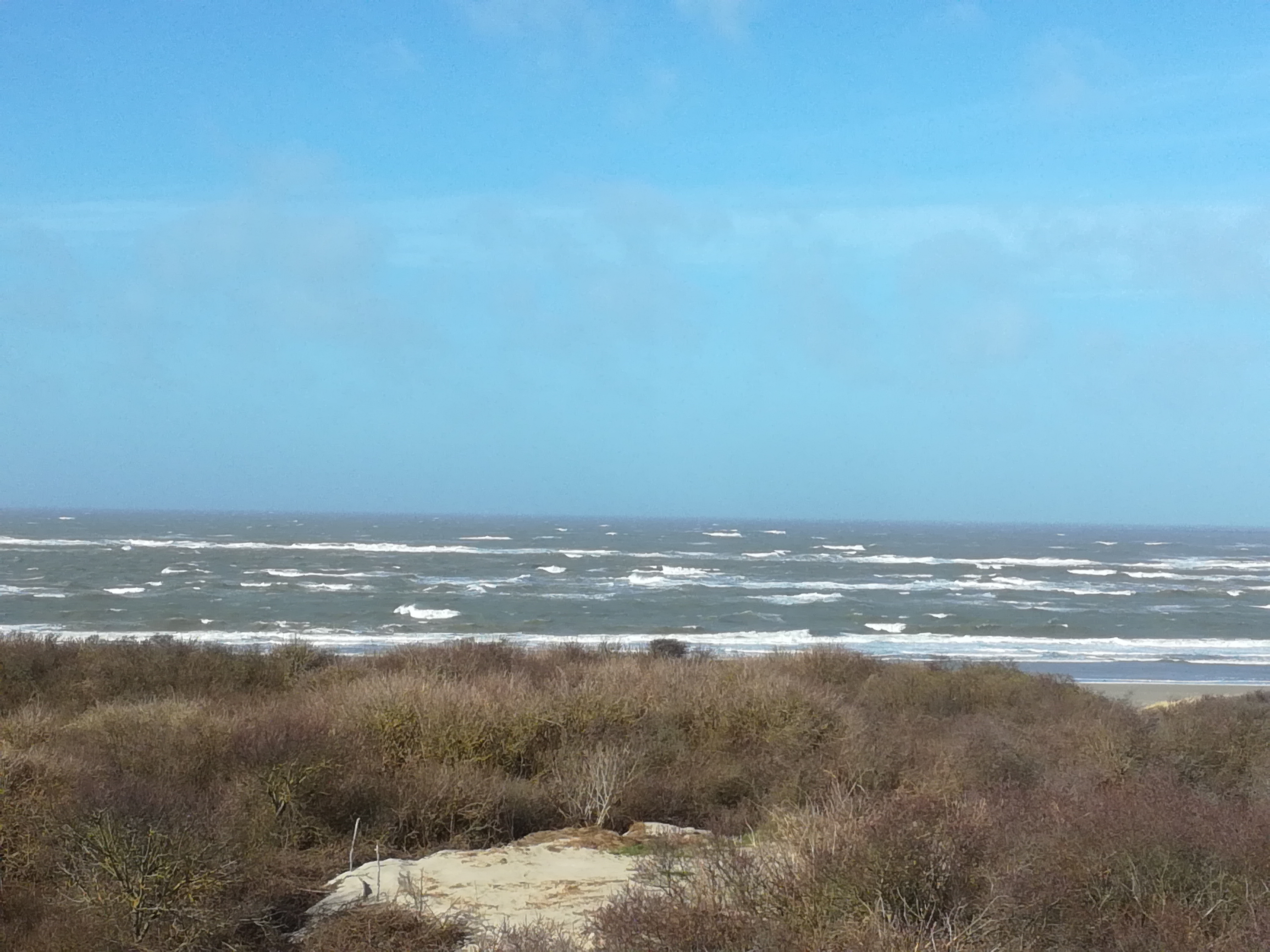 Nordsee 2019 1